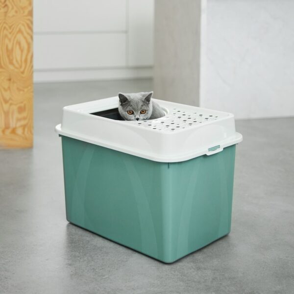 Rotho Toaleta BERTY Top Entry Eco green kot - obrazek 3