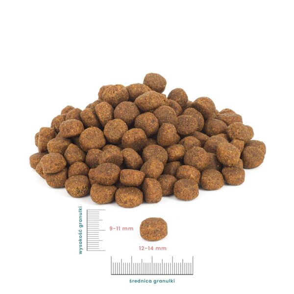 PERRO Cielęcina z batatami dla dorosłych psów średnich i dużych ras 1 kg - obrazek 2